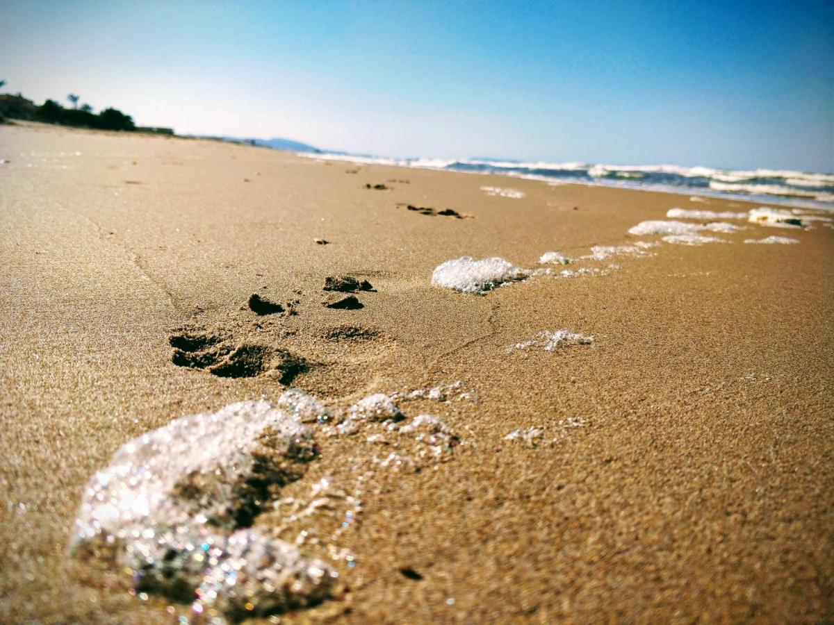 Hello Piles Beach Javier 外观 照片