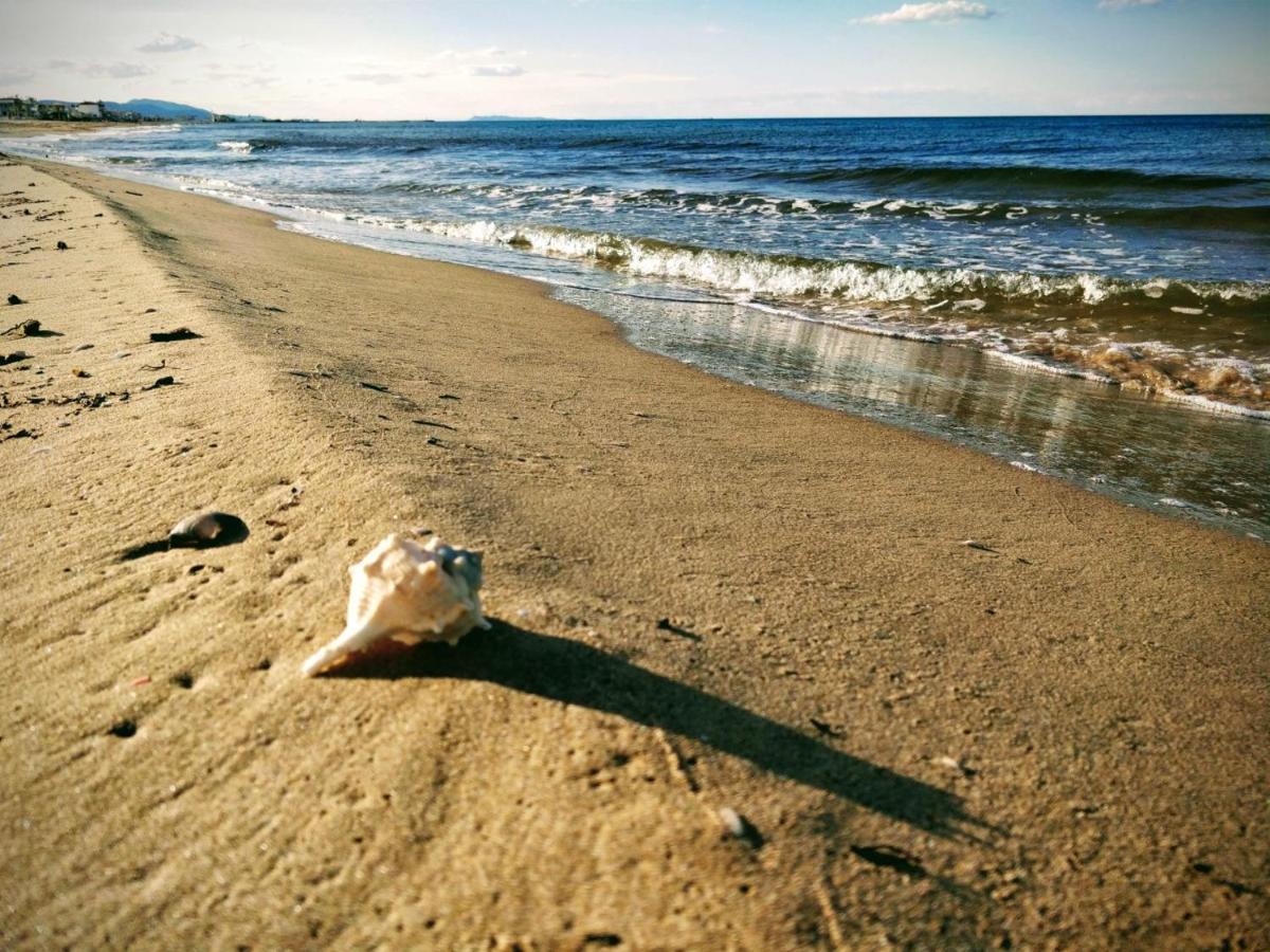 Hello Piles Beach Javier 外观 照片